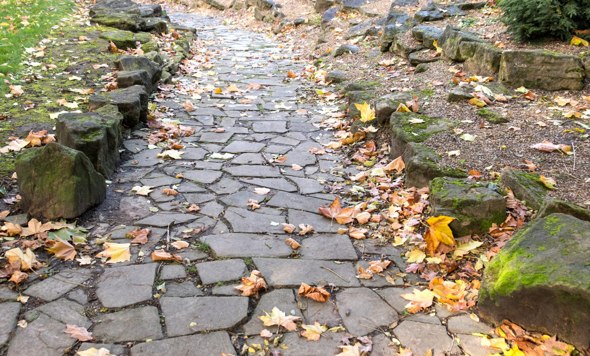 czyszczenie kostki brukowej