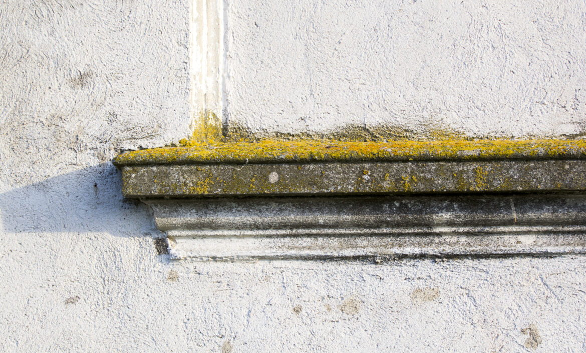 mycie fasad zewnętrznych